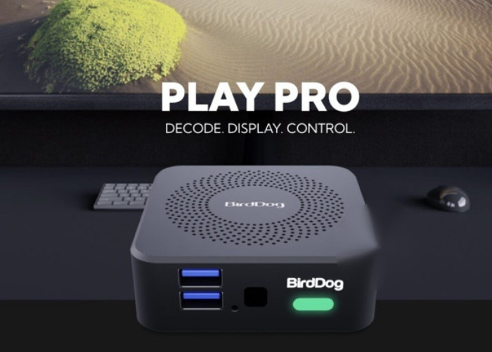 BirdDog PLAY PRO – L’anello mancante tra NDI® e il tuo schermo